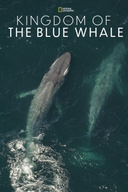 watch Kingdom of the Blue Whale movies free online